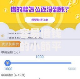 容易借钱的小额平台有哪些？精选正规渠道解析
