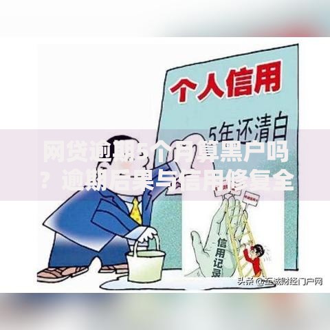 网贷逾期5个月算黑户吗？逾期后果与信用修复全解析