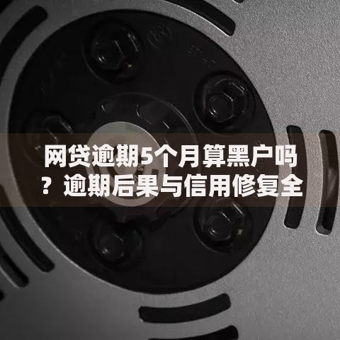 网贷逾期5个月算黑户吗？逾期后果与信用修复全解析