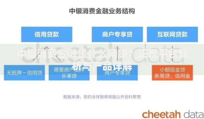 中银消费金融是什么网贷？正规平台解析与产品详解