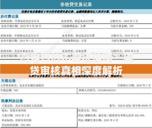高炮真的不看征信吗？网贷审核真相深度解析