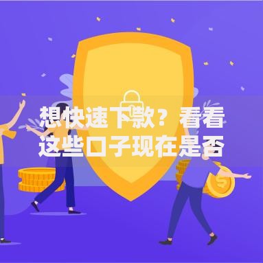 想快速下款？看看这些口子现在是否还能申请？最新审核攻略与平台解析