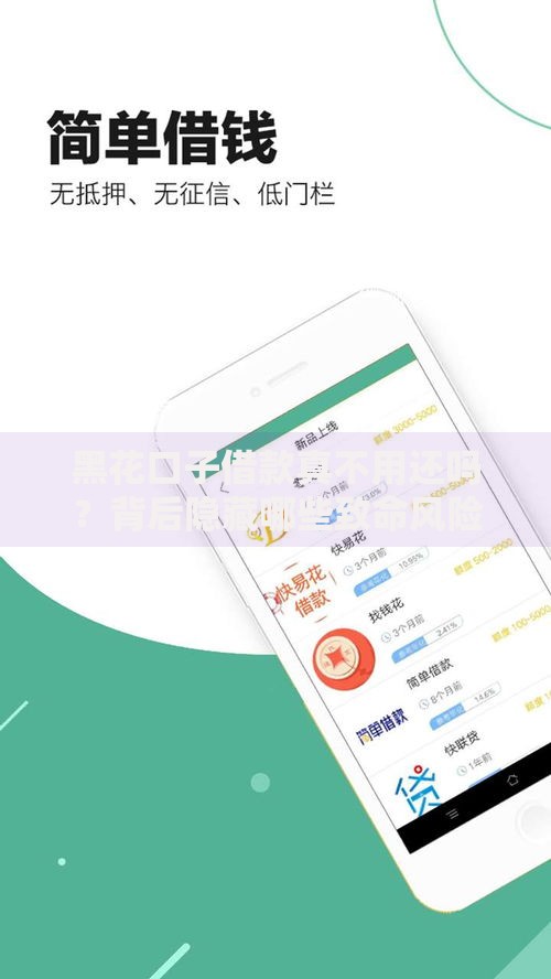 黑花口子借款真不用还吗？背后隐藏哪些致命风险