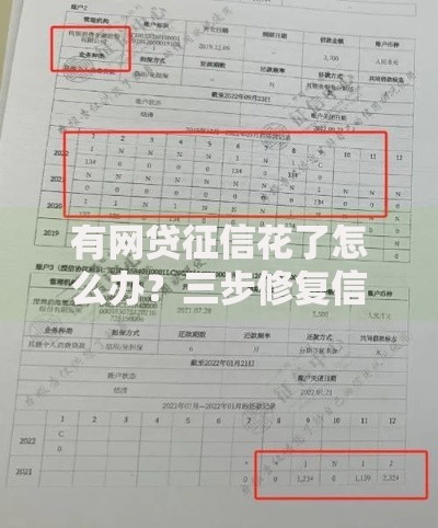 有网贷征信花了怎么办？三步修复信用快速贷款
