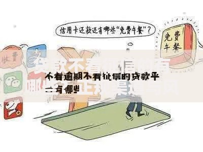 贷款不看征信的有哪些？正规渠道与风险解析