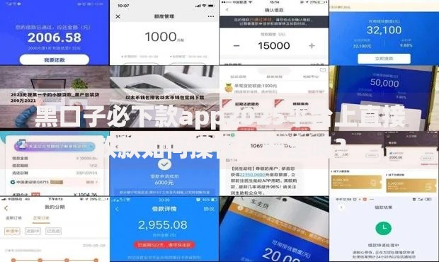 黑口子必下款app2025平台上直接放款如何操作？安全吗？