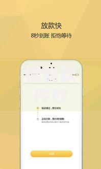 借钱软件秒到账：正规平台如何实现快速放款