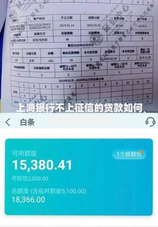 上海银行不上征信的贷款如何申请及风险解析