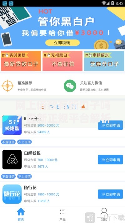 网上借款有新口子吗？最新正规平台解析与申请攻略