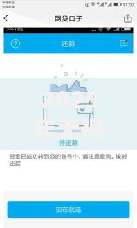 2025年无视黑白的借款平台如何规避风险
