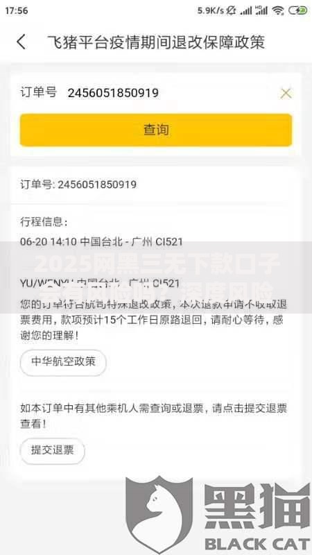2025网黑三无下款口子会有风险吗？深度风险解析