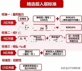 黑花口子有分期一年的有吗？申请条件与风险解析