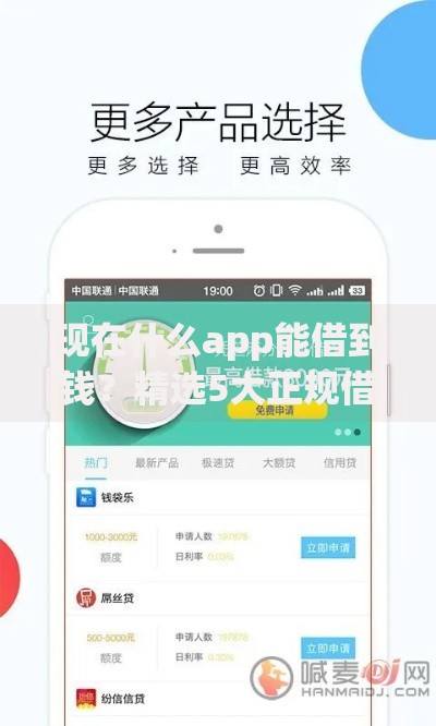 现在什么app能借到钱？精选5大正规借款平台解析