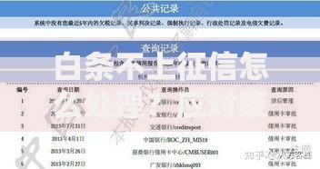 白条不上征信怎么处理？应对策略与风险解析