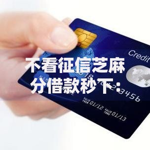 不看征信芝麻分借款秒下：低门槛贷款渠道深度解析