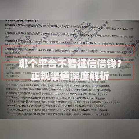 哪个平台不看征信借钱？正规渠道深度解析