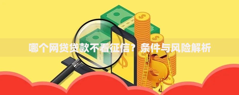 哪个网贷贷款不看征信？条件与风险解析
