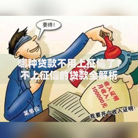 哪种贷款不用上征信了？不上征信的贷款全解析