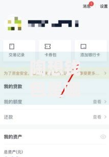 陶想钱包是哪个口子？申请条件及安全解析