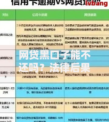 网贷黑口子能不还吗？法律后果与应对策略全解析
