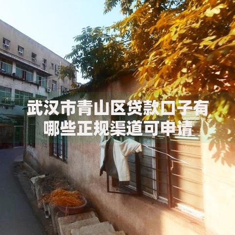 武汉市青山区贷款口子有哪些正规渠道可申请