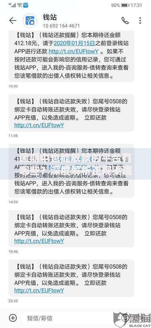 逾期中也能放款的平台有哪些?深度解析正规渠道与申请技巧 逾期中也能放款的平台有哪些?深度解析正规渠道与申请技巧