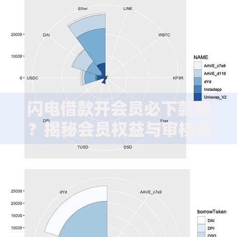 闪电借款开会员必下款吗？揭秘会员权益与审核真相