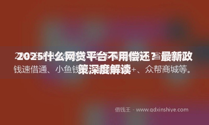 2025什么网贷平台不用偿还？最新政策深度解读