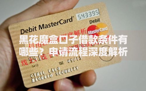 黑花魔盒口子借款条件有哪些？申请流程深度解析