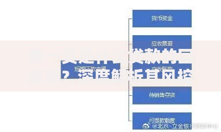 新一贷是什么贷款的回款率？深度解析其风控机制与影响因素