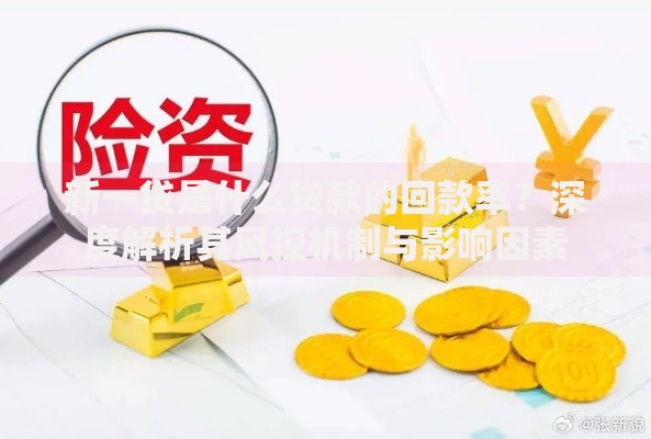 新一贷是什么贷款的回款率？深度解析其风控机制与影响因素