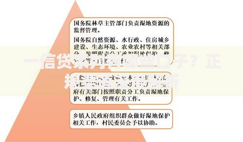 一信贷系列有哪些口子？正规渠道深度解析