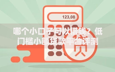 哪个小口子可以借钱？低门槛小额贷款平台评测