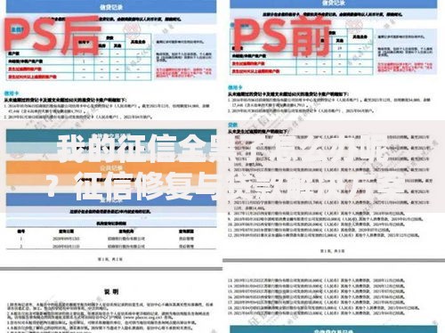 我的征信全黑了怎么办呢？征信修复与贷款解决方案指南