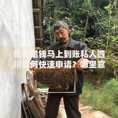 我要借钱马上到账私人四川如何快速申请？哪里靠谱？