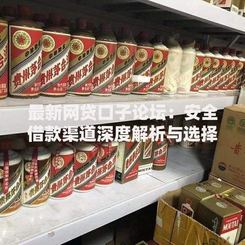 最新网贷口子论坛：安全借款渠道深度解析与选择指南