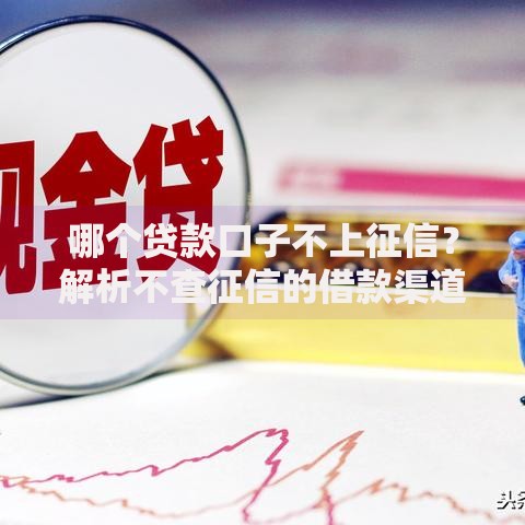 哪个贷款口子不上征信？解析不查征信的借款渠道及风险提示