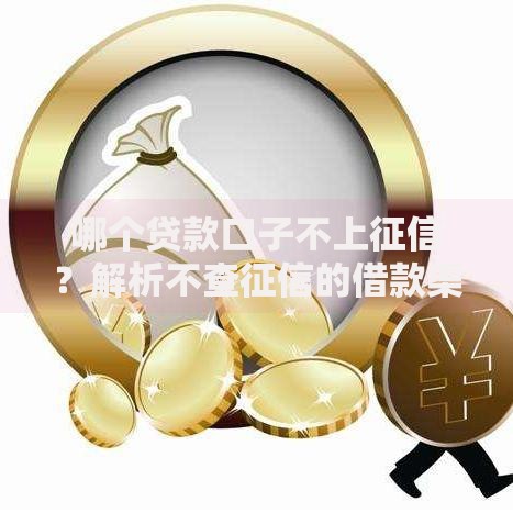 哪个贷款口子不上征信？解析不查征信的借款渠道及风险提示