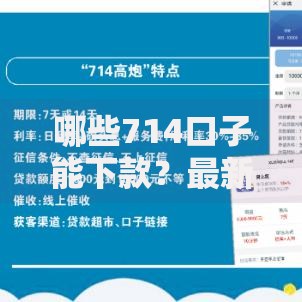 哪些714口子能下款？最新可靠渠道解析