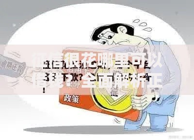 征信很花哪里可以借钱？全面解析正规贷款渠道攻略