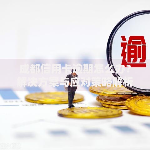 成都信用卡逾期怎么办？解决方案与应对策略解析
