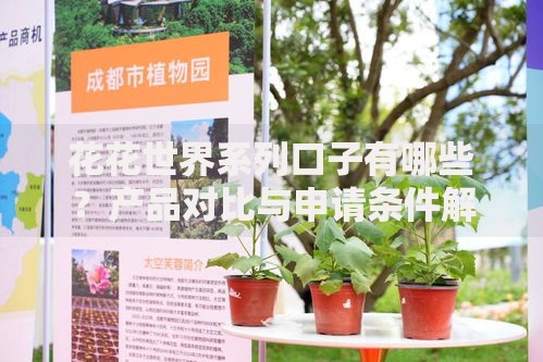 花花世界系列口子有哪些？产品对比与申请条件解析