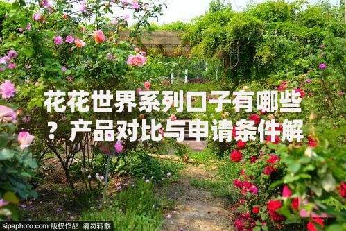 花花世界系列口子有哪些？产品对比与申请条件解析