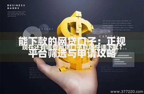 能下款的网贷口子：正规平台筛选与申请攻略