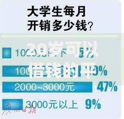 20岁可以借钱的平台有哪些？正规低息选择推荐
