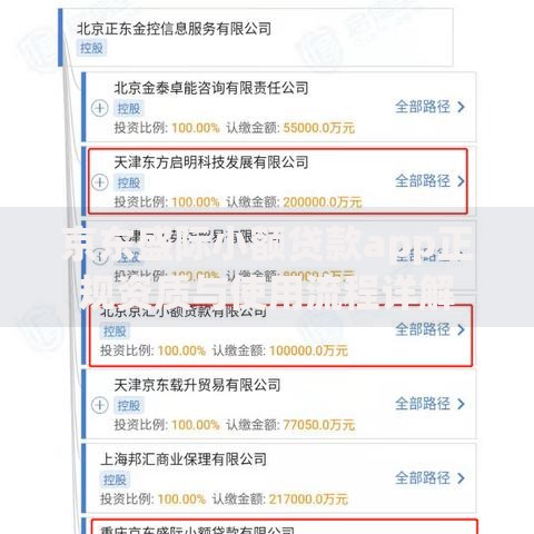 京东盛际小额贷款app正规资质与使用流程详解