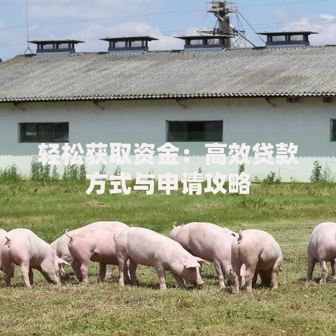 轻松获取资金：高效贷款方式与申请攻略
