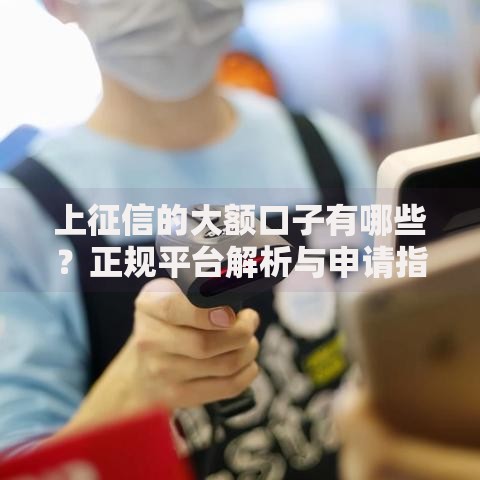 上征信的大额口子有哪些？正规平台解析与申请指南