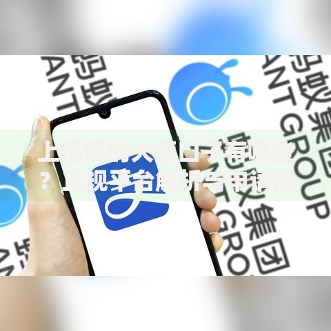 上征信的大额口子有哪些？正规平台解析与申请指南