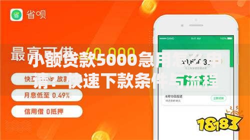 小额贷款5000急用怎么申请？快速下款条件与流程详解